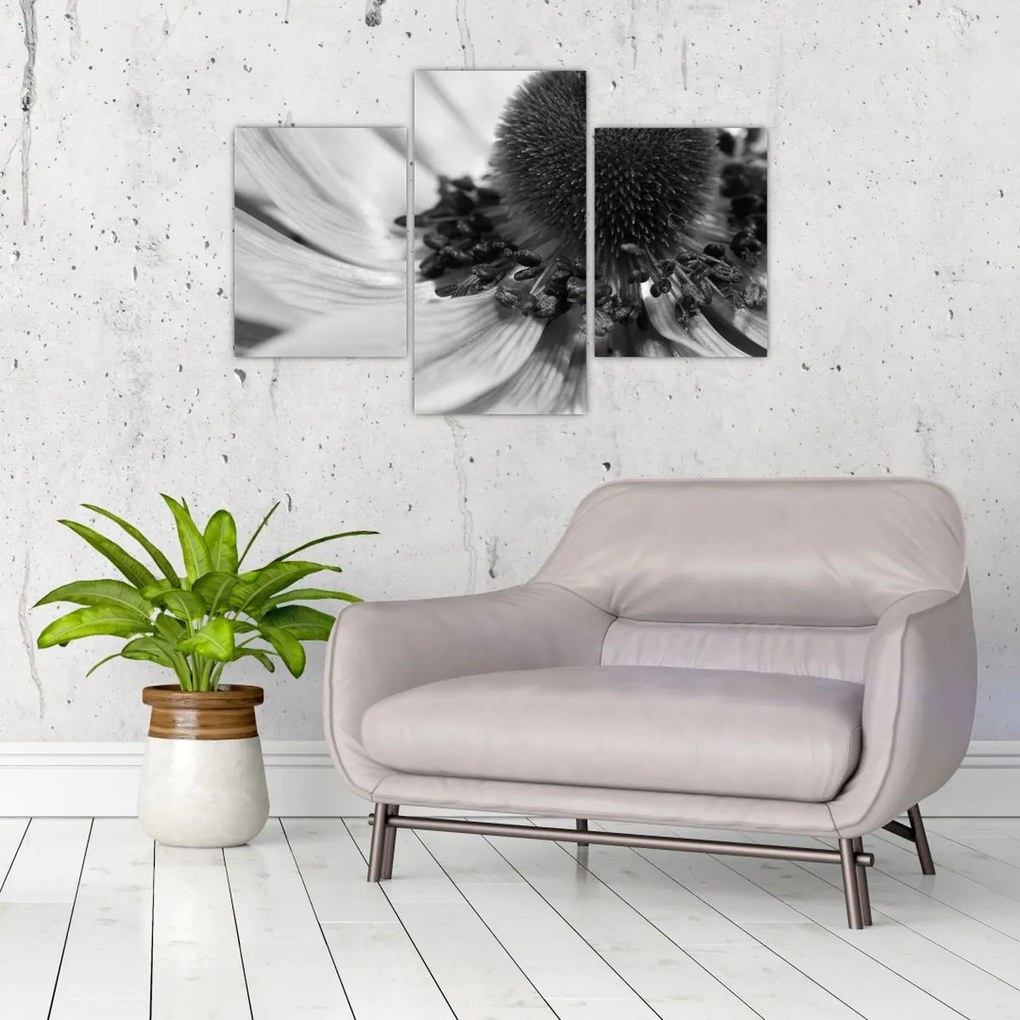 Tablou - Floare în alb-negru (90x60 cm)