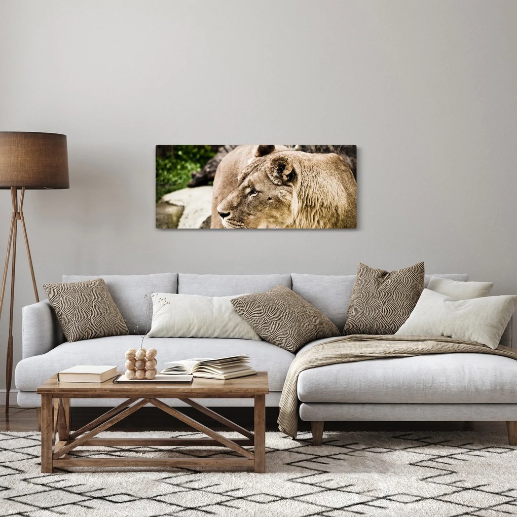 Tablou cu leoaică (120x50 cm)