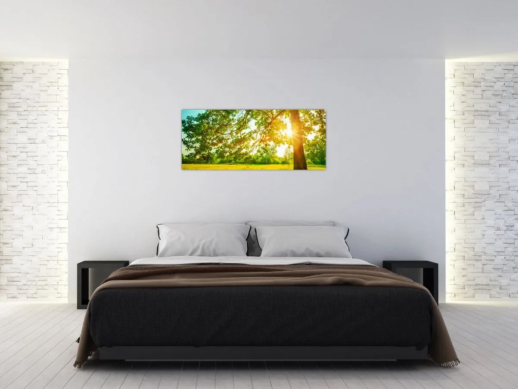 Tablou - Pădurea însorită (120x50 cm)