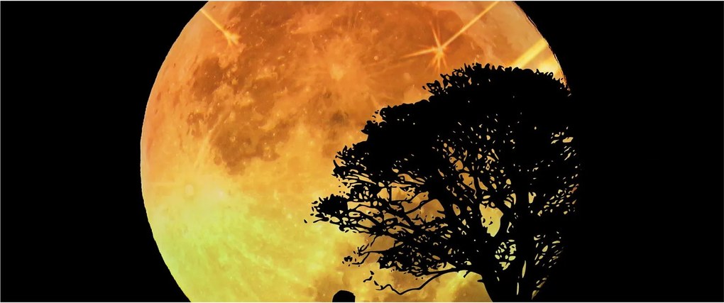 Tablou cu umbre în lumina lunii (120x50 cm)