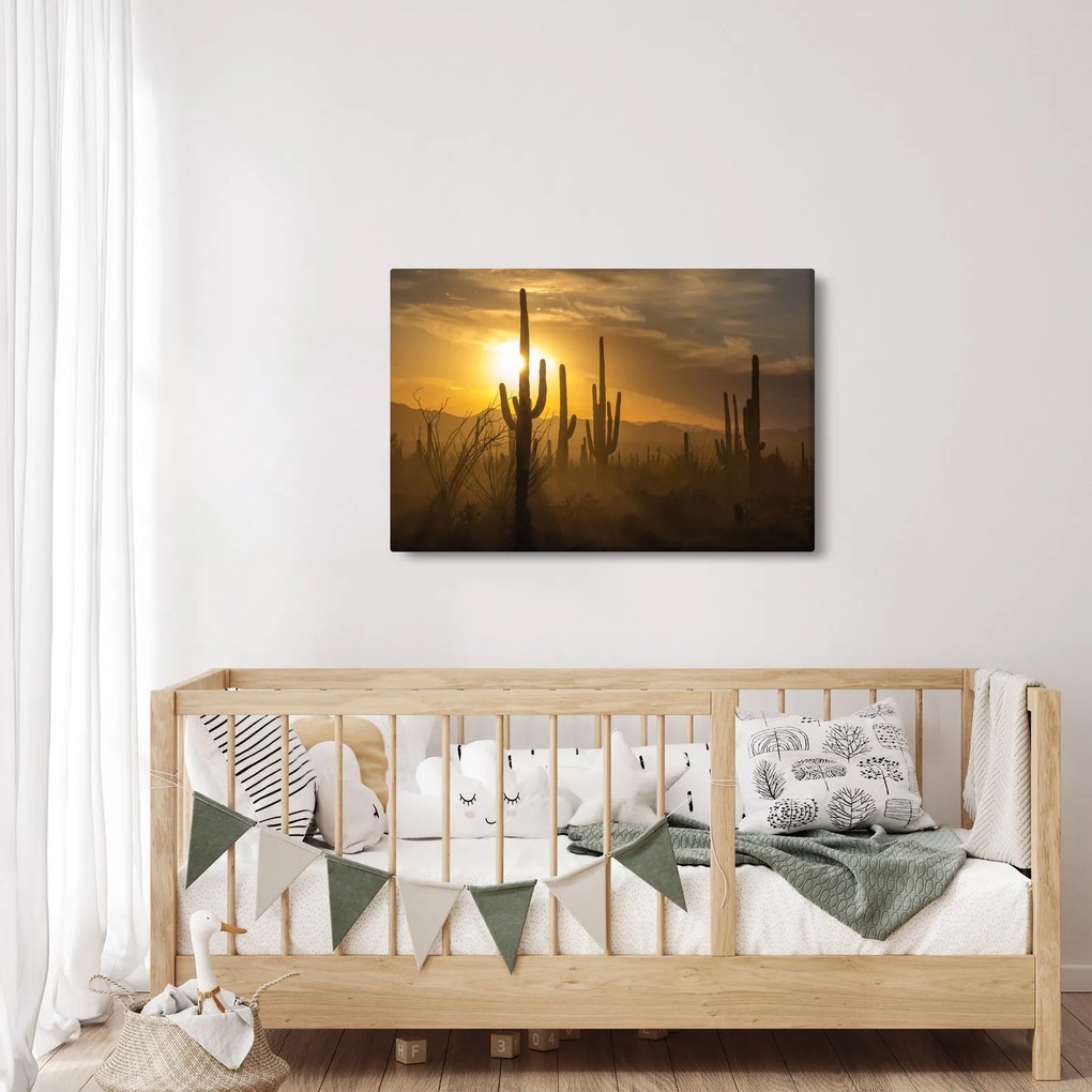 Tablou - Cactuși Saguaro (90x60 cm)