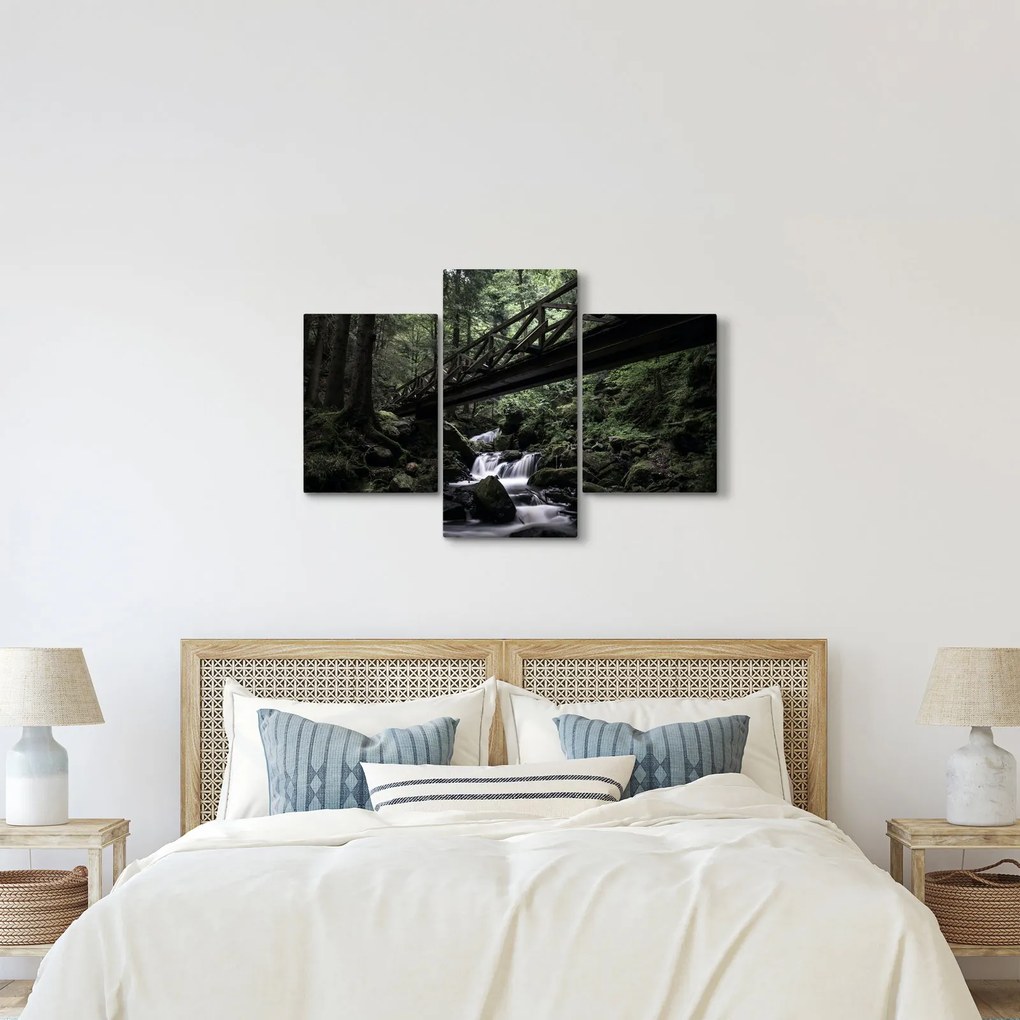 Tablou din pădurea neagră (90x60 cm)