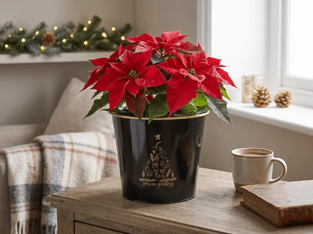 Ghiveci de Craciun SEASONS GREETINGS 30 cm, negru / auriu