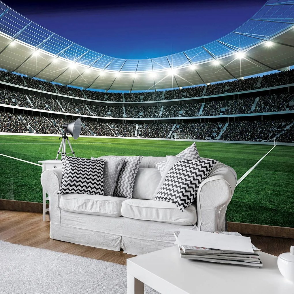 Fototapet - Stadion de fodbal (254x184 cm)