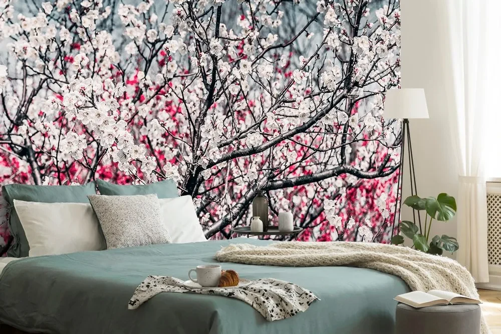 Fototapet flori de piersică
