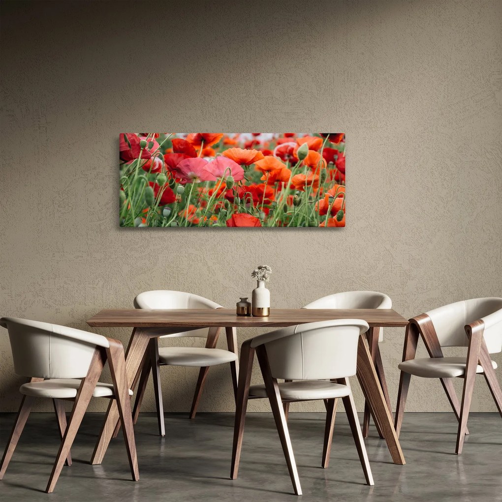 Tablou din câmp cu maci (120x50 cm)