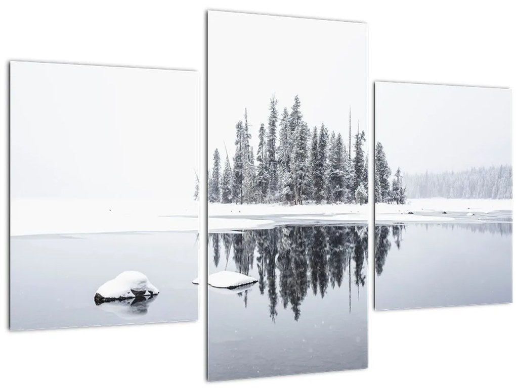 Tablou - A fost alb (90x60 cm)