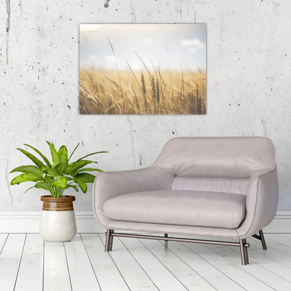Tablou cu grâne (70x50 cm)
