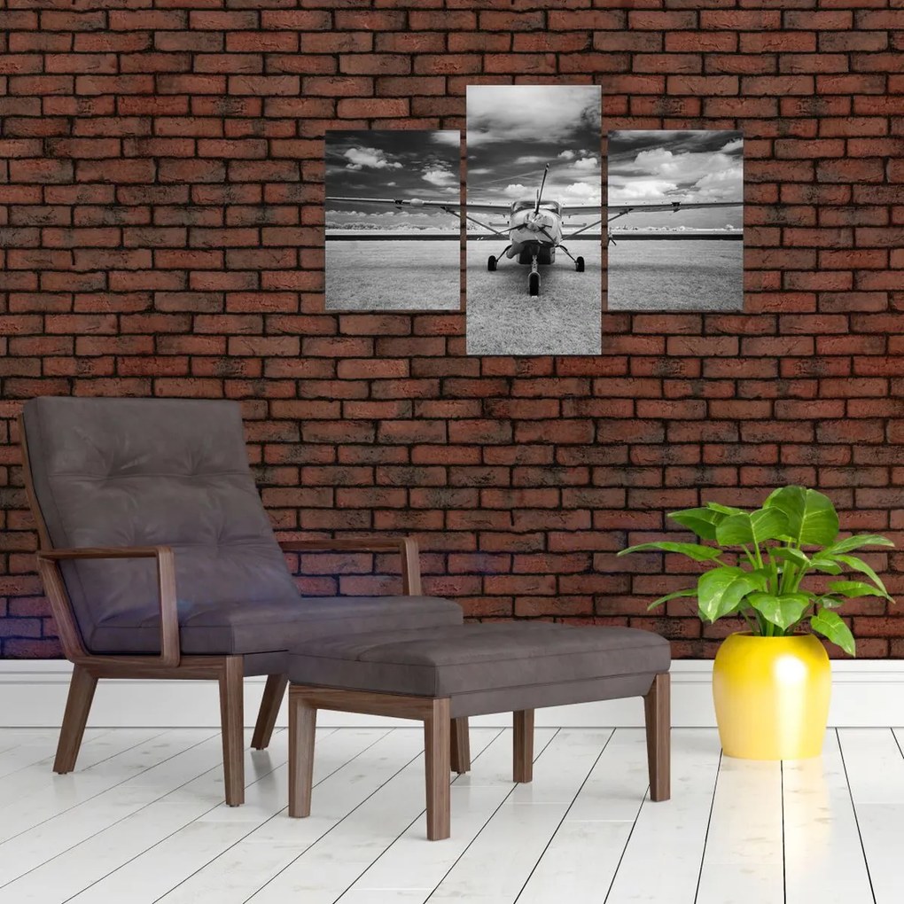 Tablou - Avion alb-negru și alb-negru (90x60 cm)