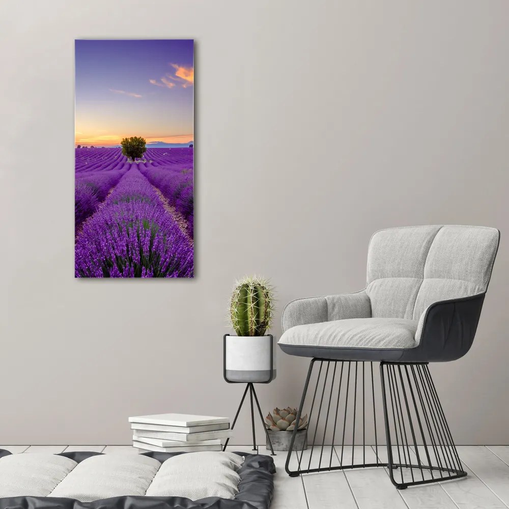 Tablou pe pânză canvas Câmp de lavandă