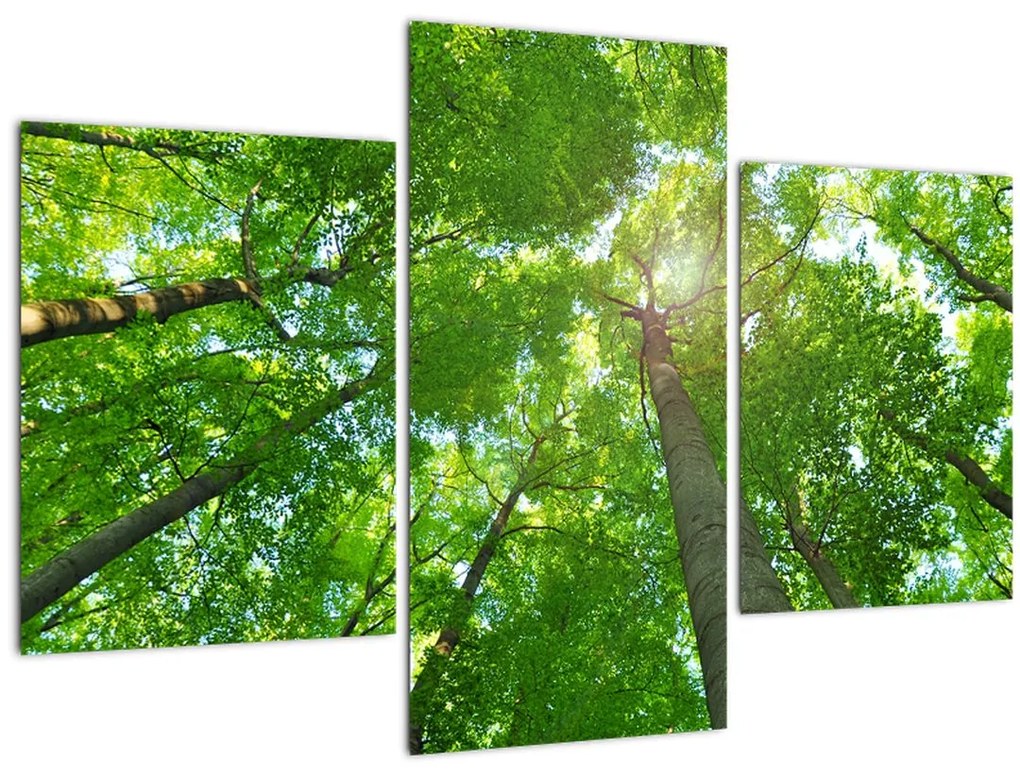 Tablou - Lunca (90x60 cm)