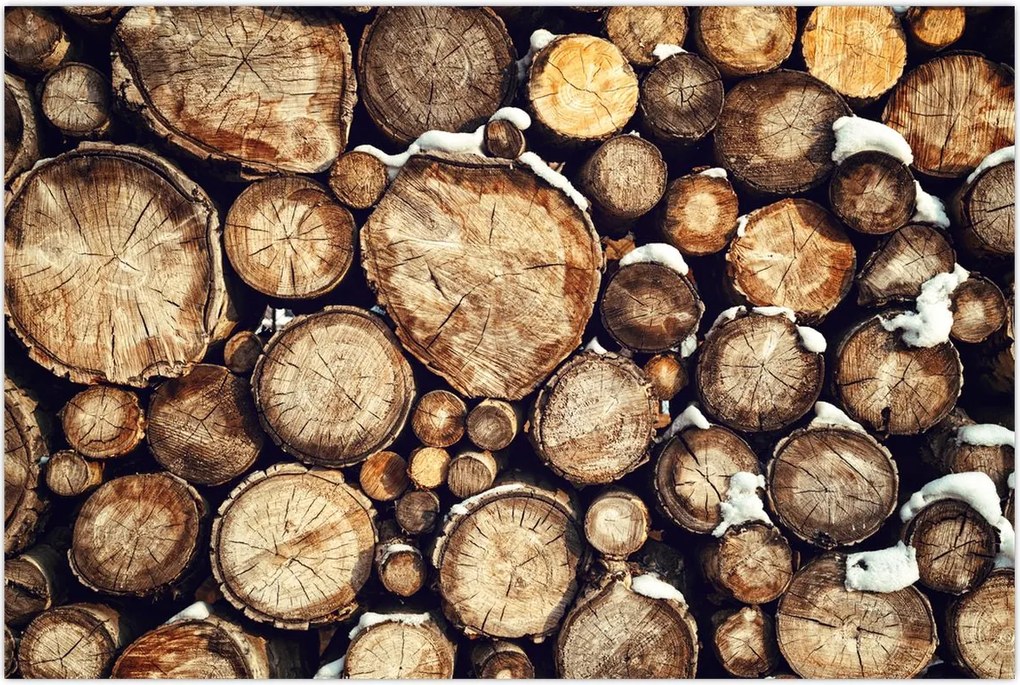 Tablou - Lemn în zăpadă (90x60 cm)