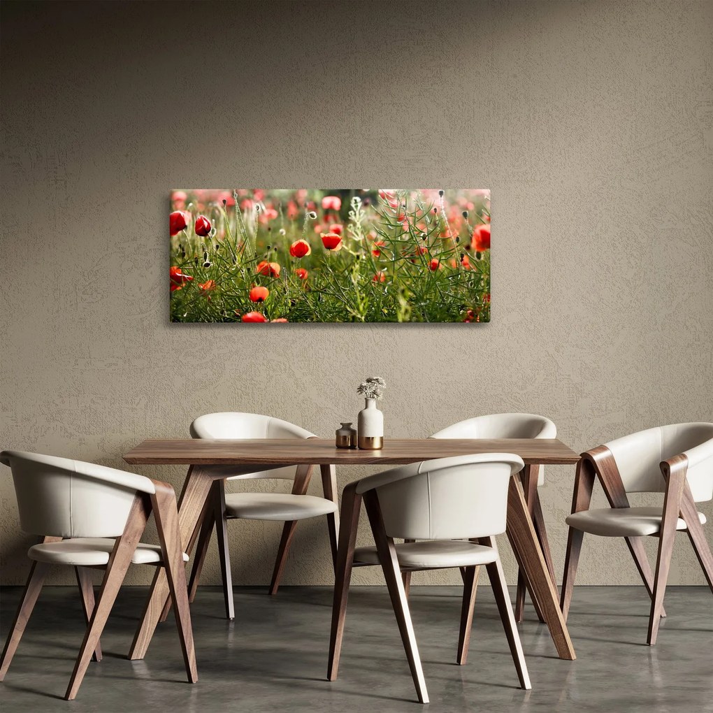 Tablou cu maci (120x50 cm)
