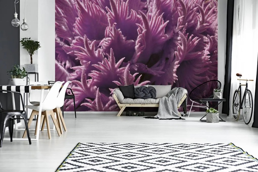 Fototapet - Plante (152,5x104 cm)