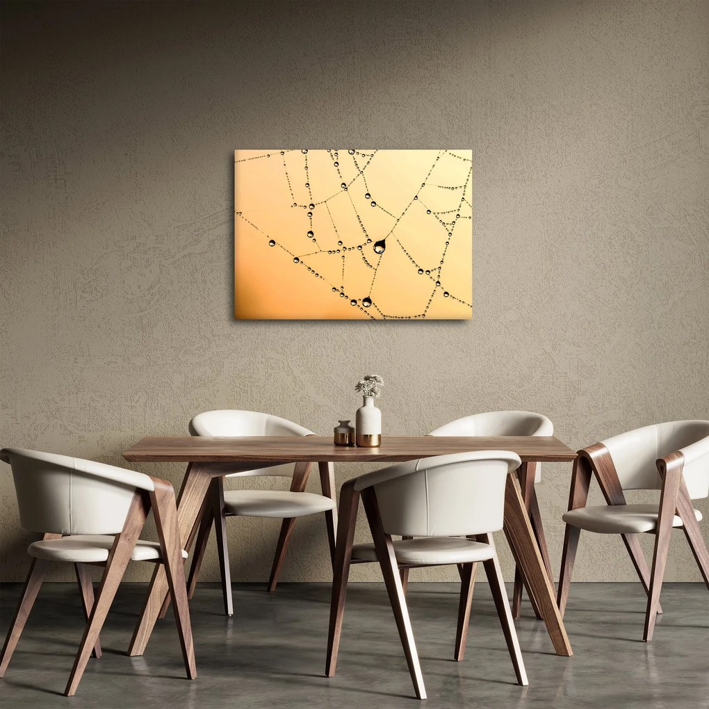 Tablou cu pânză de pâianjen cu rouă (70x50 cm)