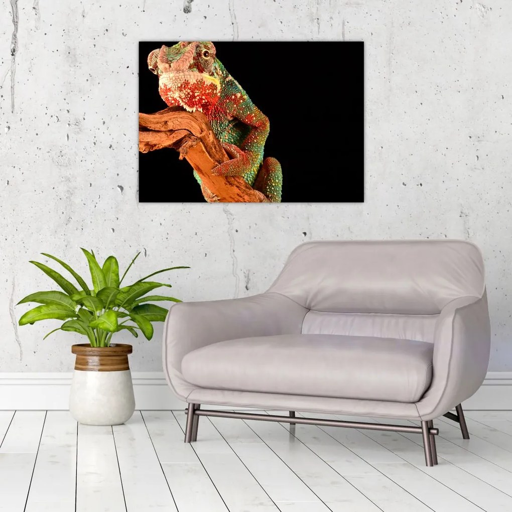 Tablou cu cameleon pe creangă (70x50 cm)