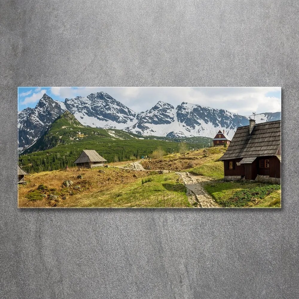 Tablou acrilic Hale tatry