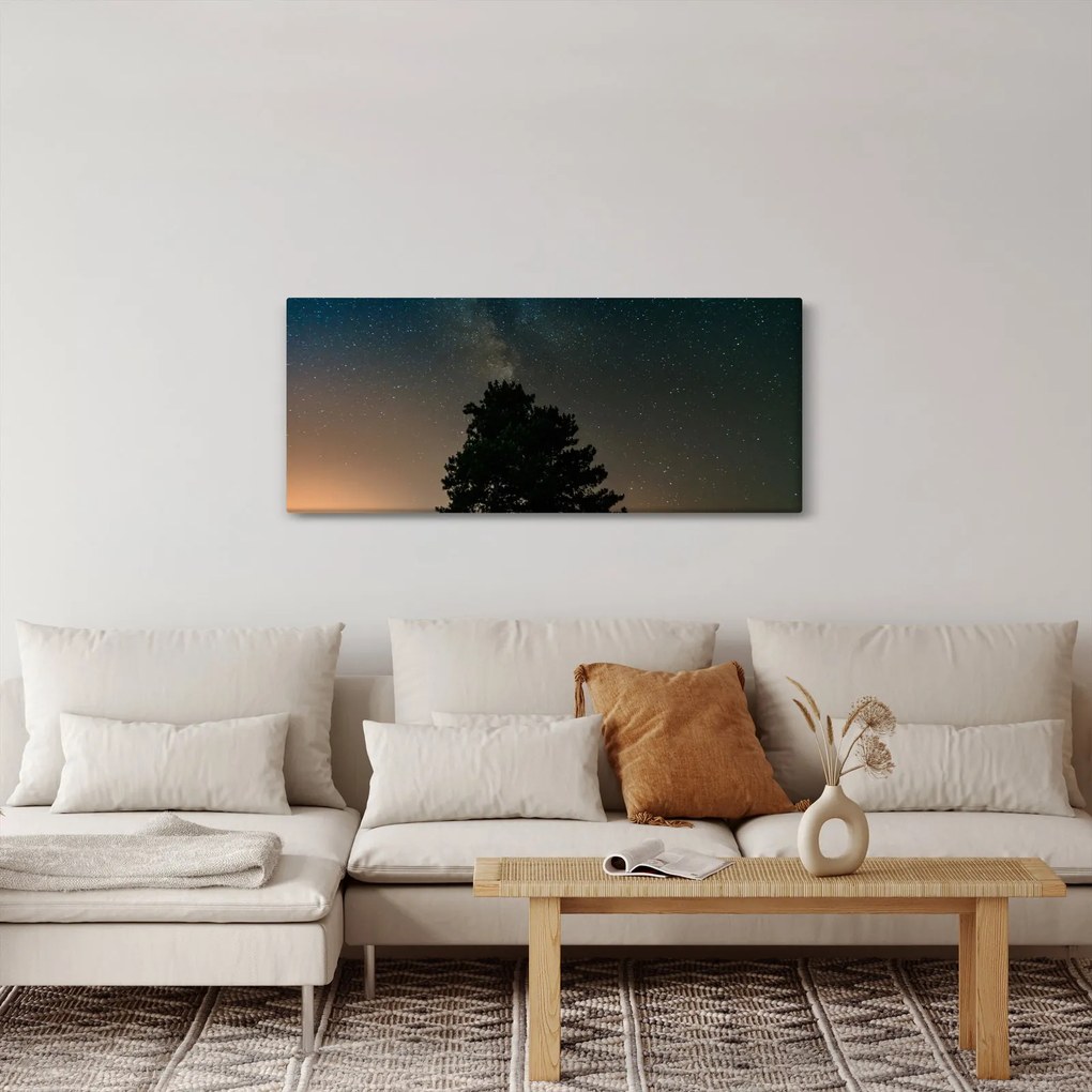 Tablou cu cerul nocturn și copaci (120x50 cm)