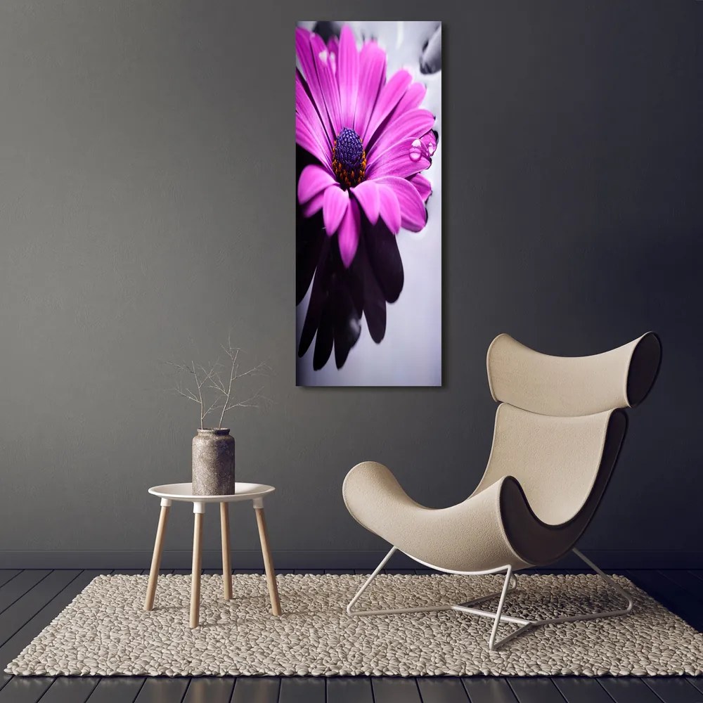 Tablou canvas Gerbera roz