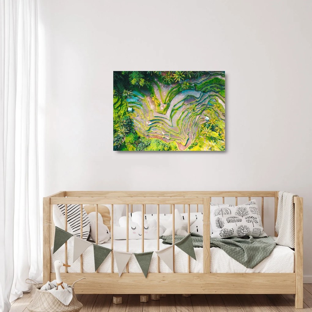 Tablou pe sticlă cu lanuri de orez din privire de sus (70x50 cm)