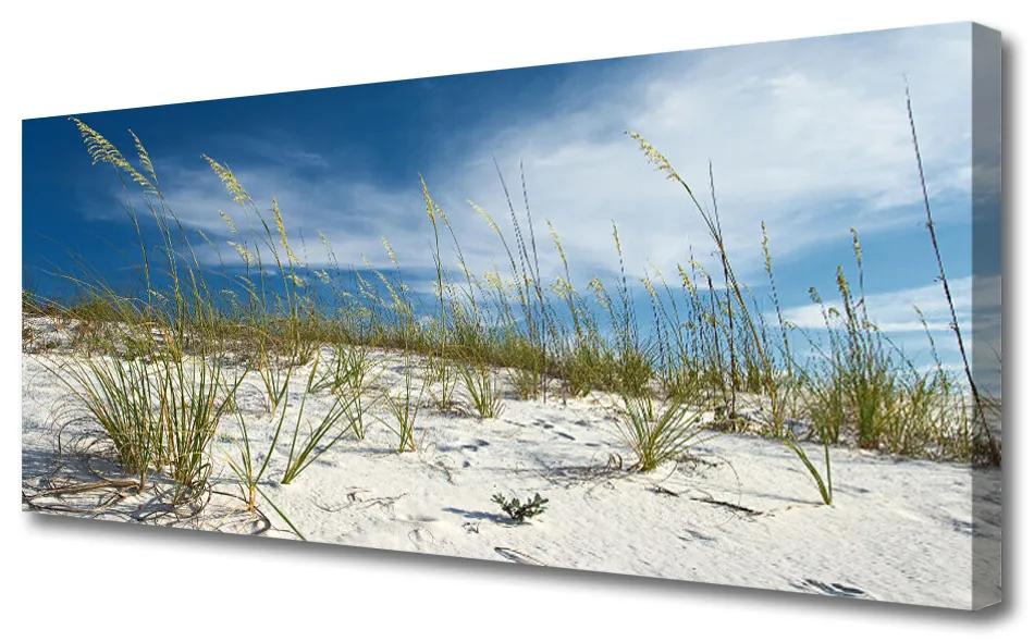 Tablou pe panza canvas Plaja Peisaj Brun Verde