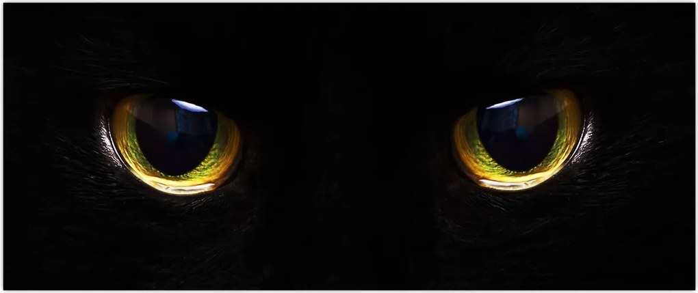 Tablou - Ochi de pisică (120x50 cm)