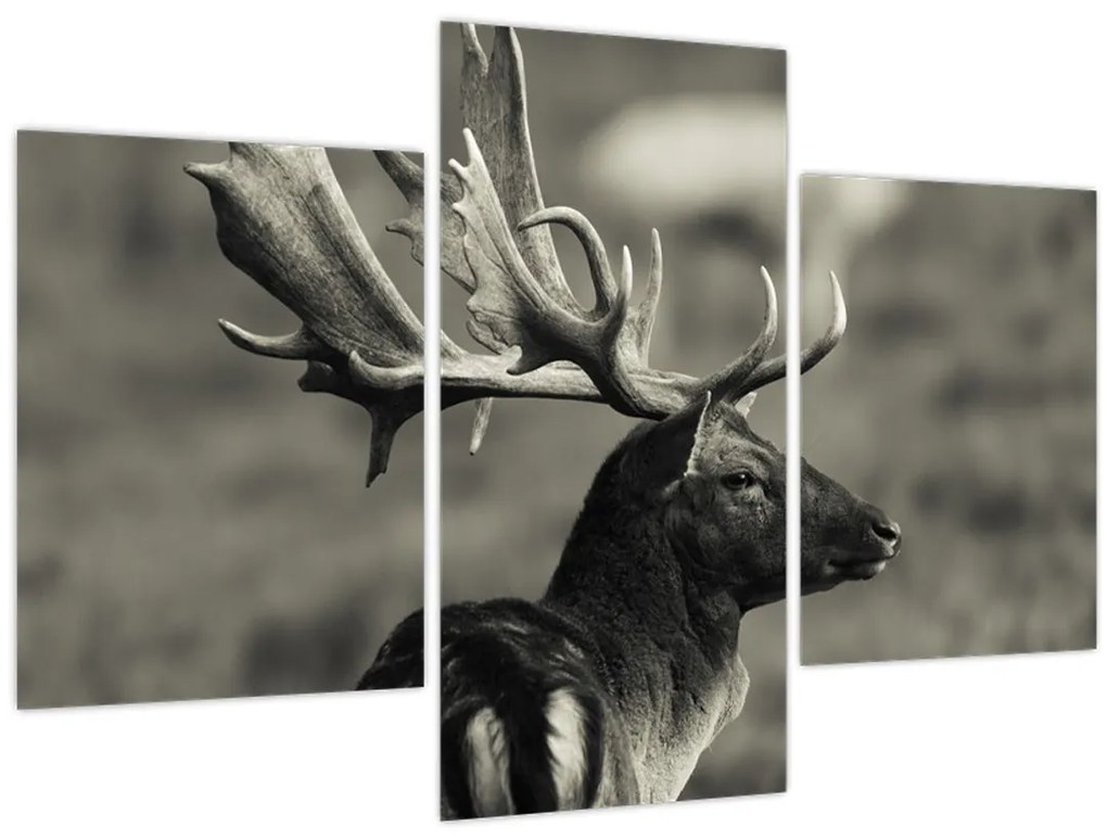Tablou - Cerb (90x60 cm)