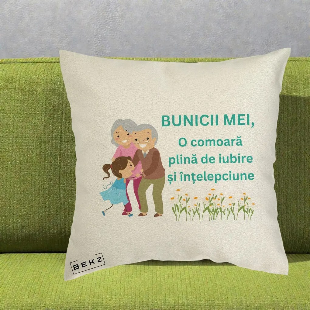 Cadou pentru Bunici - Perna Personalizata Bunicii Mei Comoara Iubire Intelepciune Nepoata, 40x40 cm, Ecru, Husa Detasabila, Perna Inclusa, BEKZ®