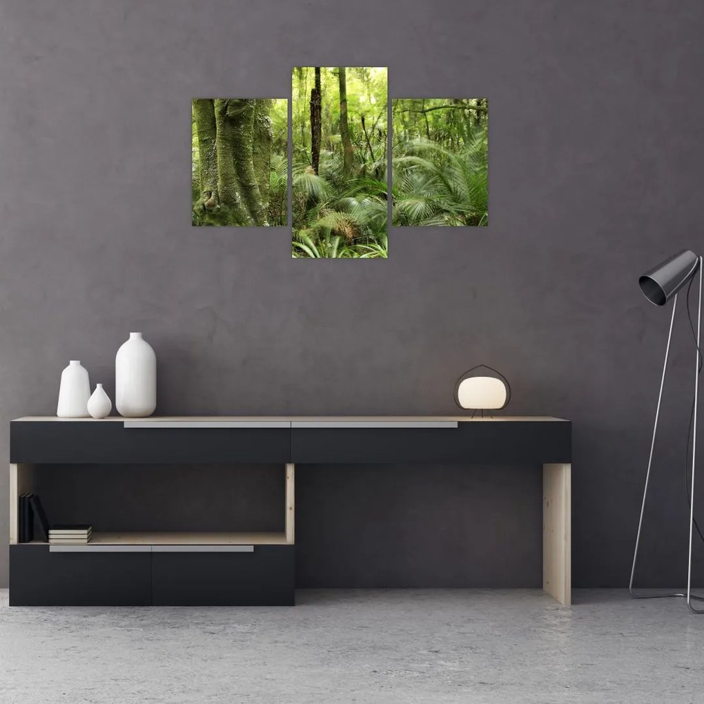 Tablou - Pădure tropicală (90x60 cm)