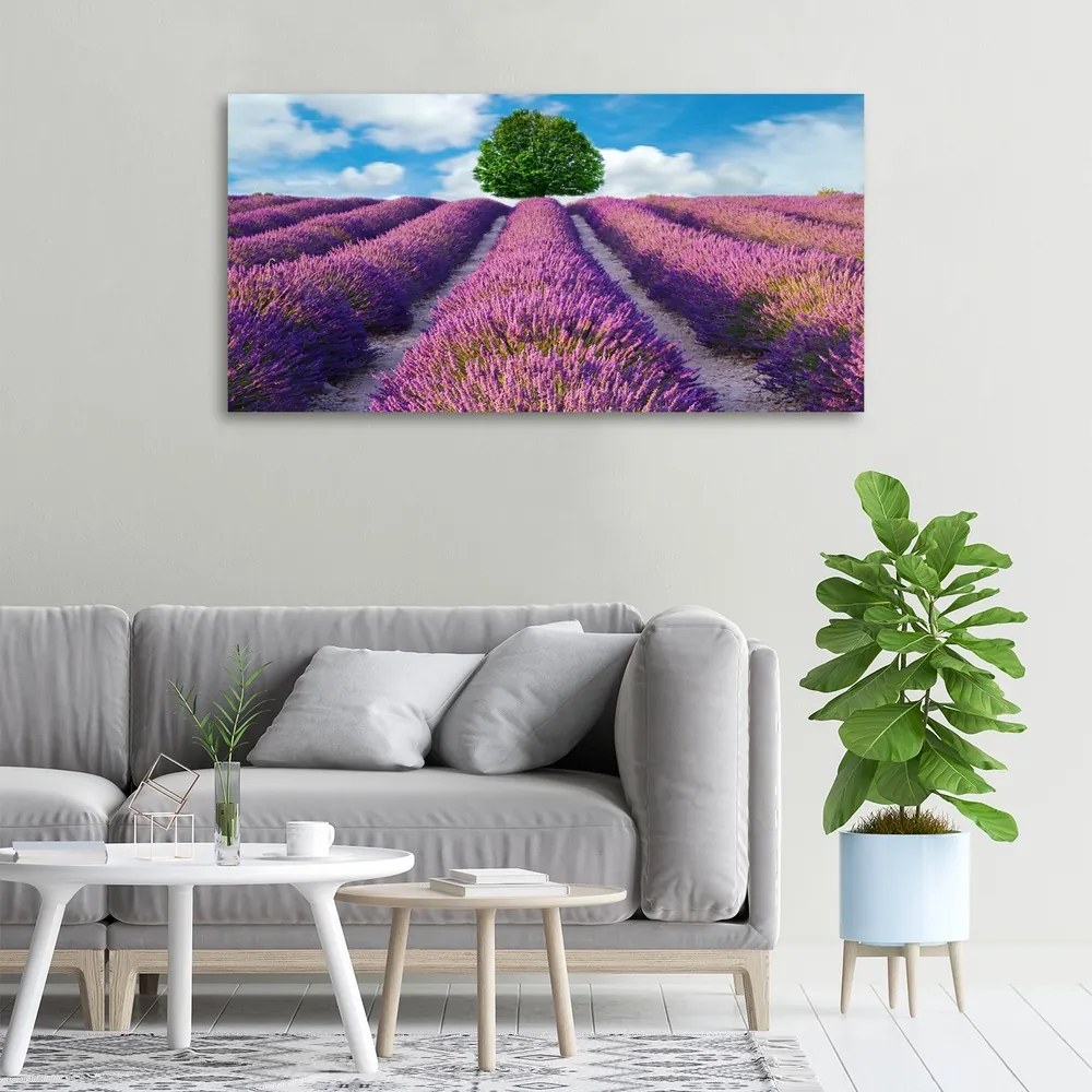 Imprimare tablou canvas Câmp de lavandă