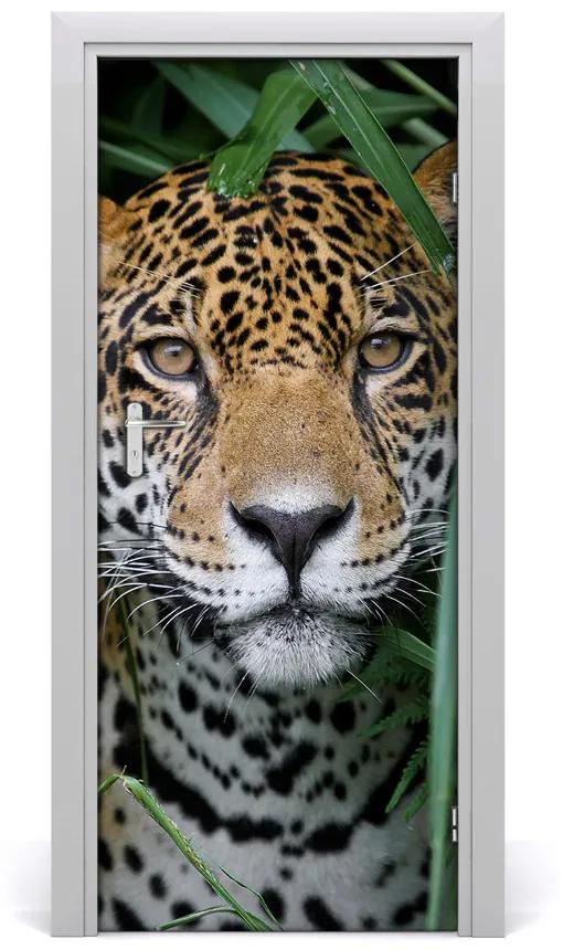 Autocolante pentru usi ușă autoadeziv Jaguar în Amazon