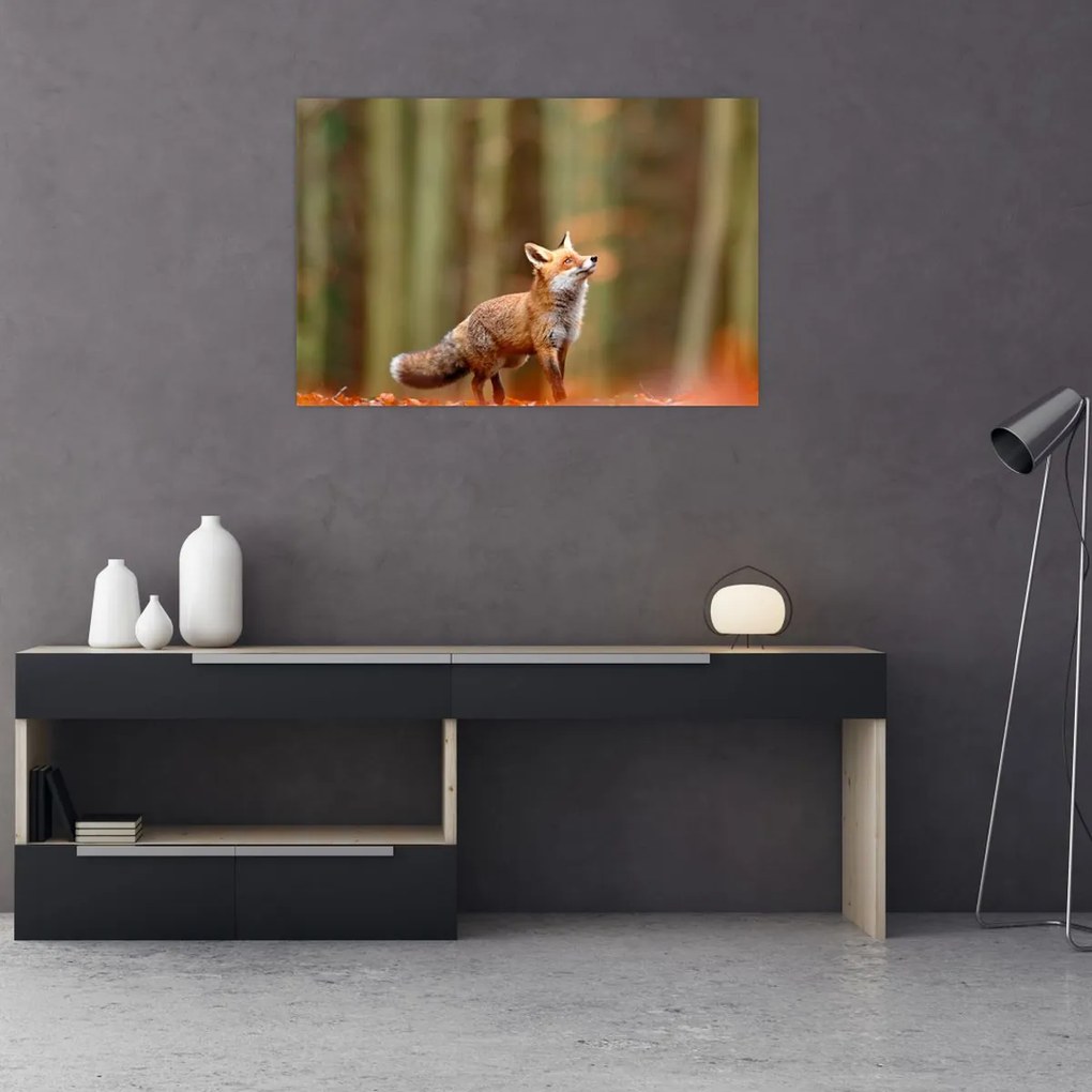 Tablou - Vulpe (90x60 cm)