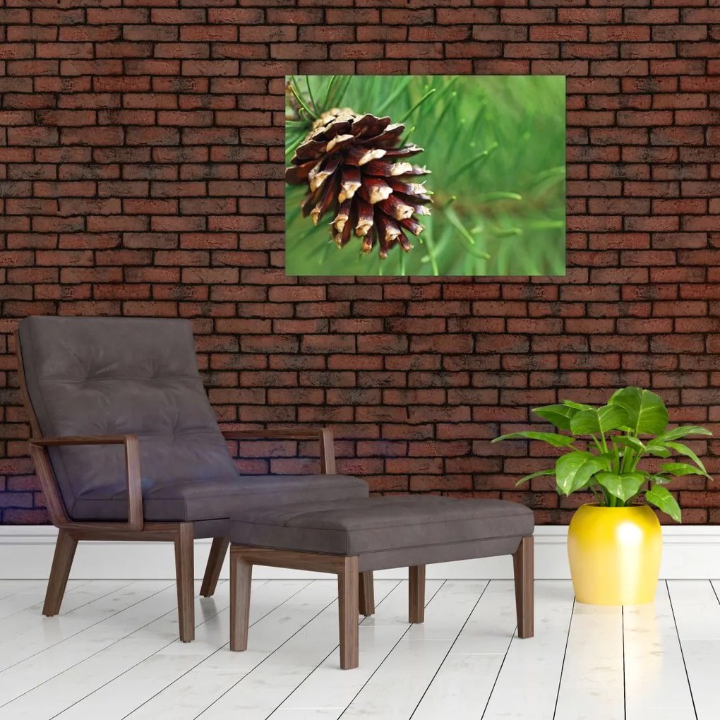 Tablou pe sticlă cu con (70x50 cm)