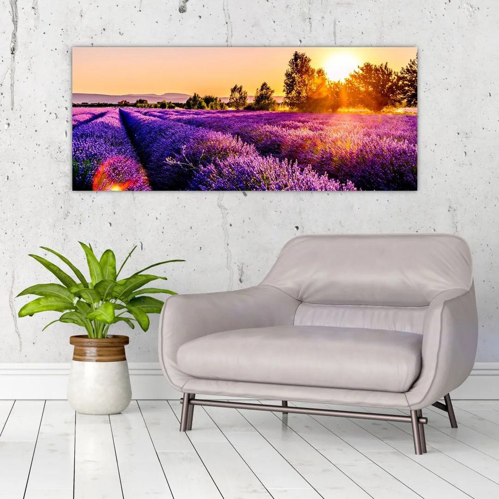 Tablou cu câmp de lavanda (120x50 cm)