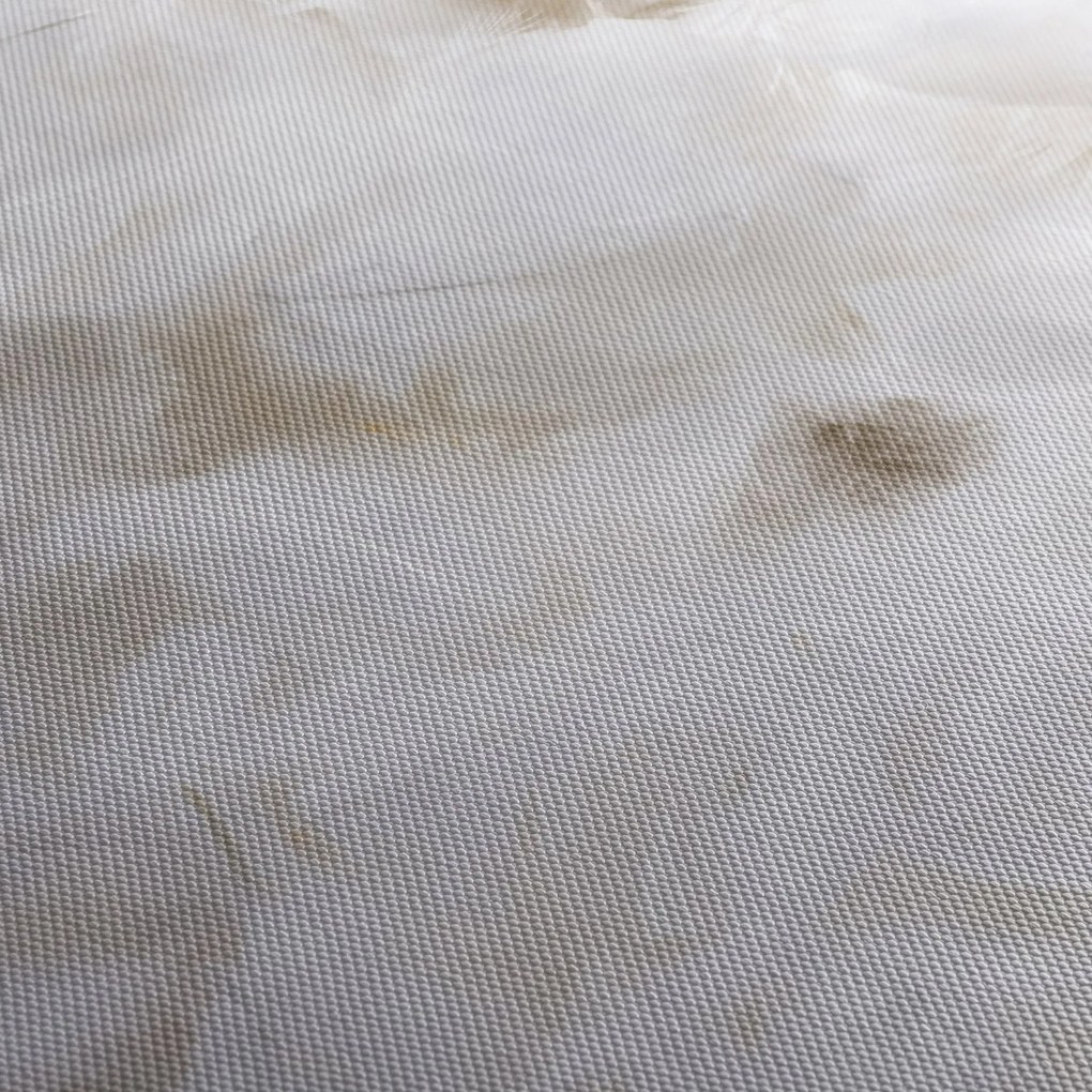 Tablou - Pene albe (120x50 cm)