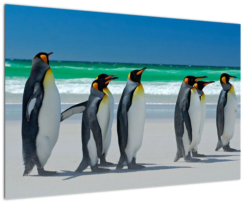 Tablou - Grup de pinguini regali (90x60 cm)