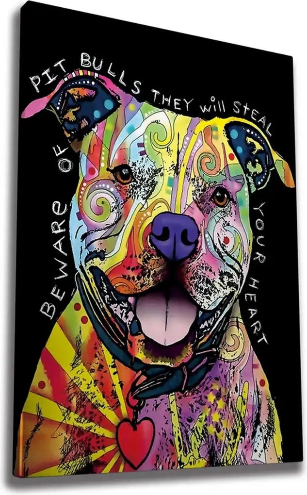 Tablou WY163, multicolor, panza, 70x100 cm
