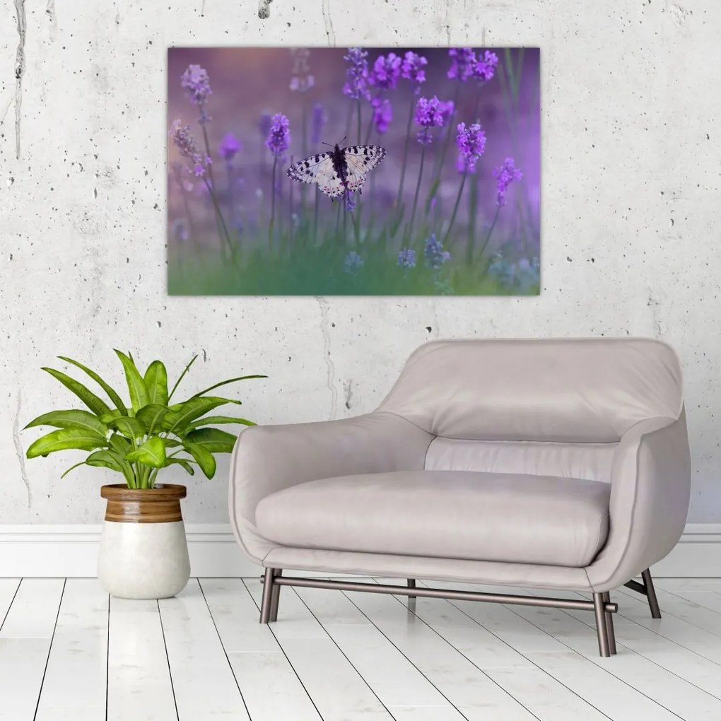 Tablou - fluture în lavandă (90x60 cm)