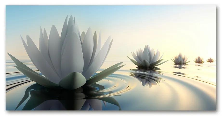Pictura pe sticlă acrilică Floare de lotus