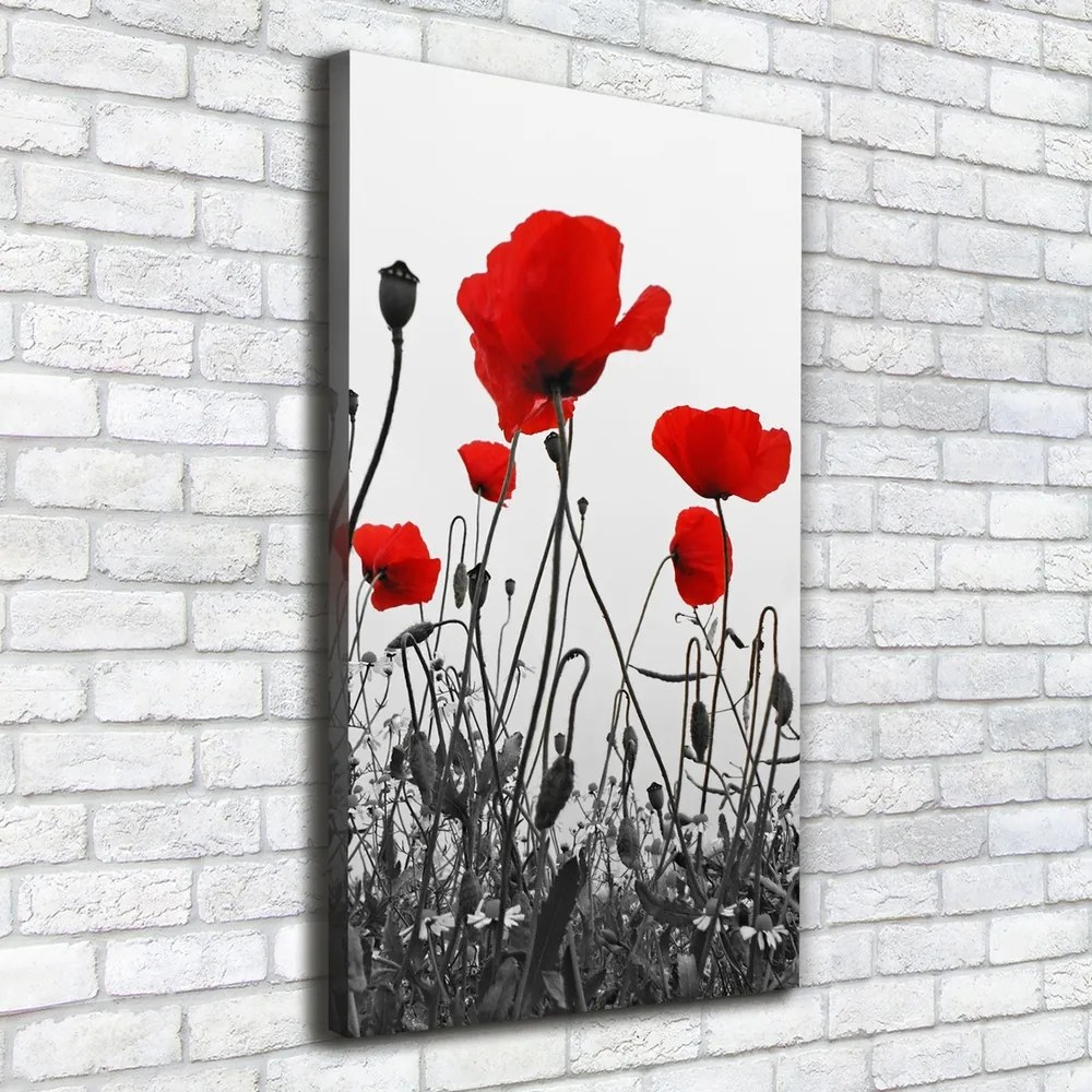 Tablou canvas Wildflowers maci