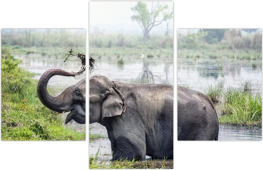 Tablou - Elefant de scăldat (90x60 cm)