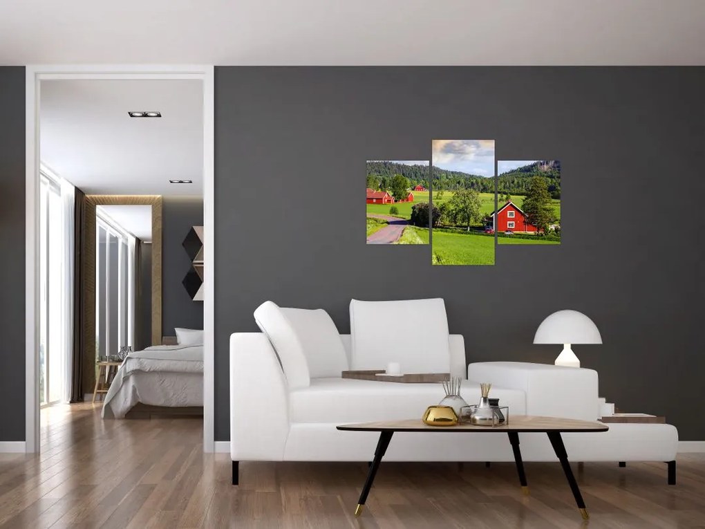 Tabloul cu țară (90x60 cm)