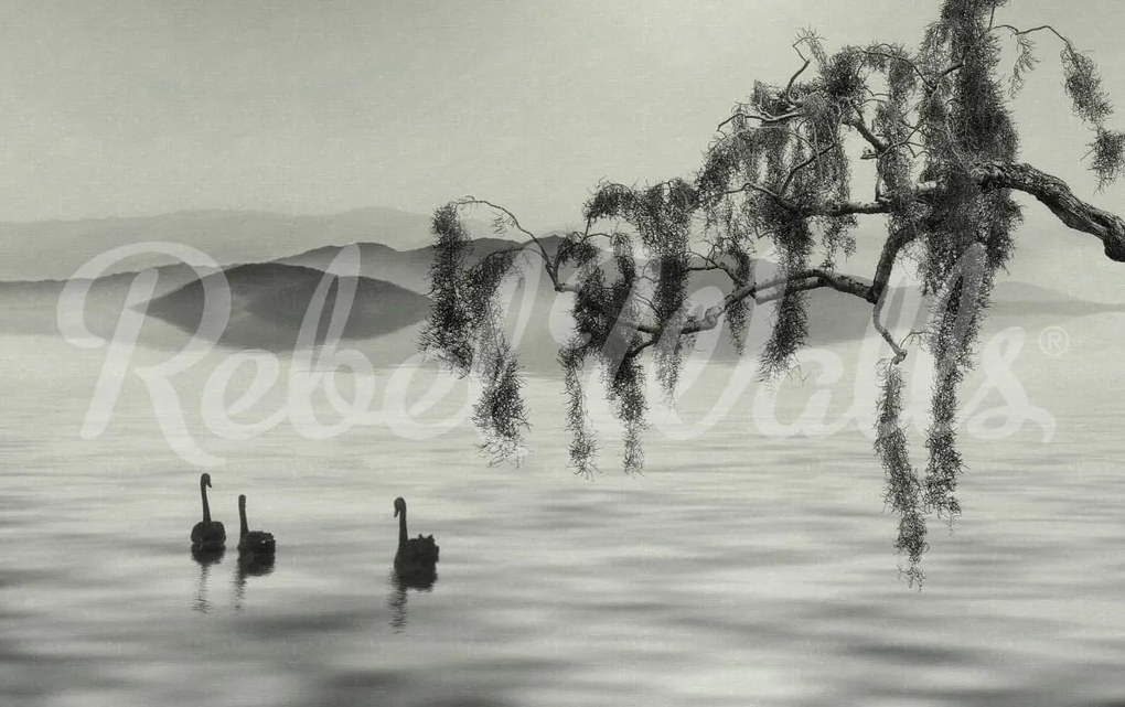 Fototapet, Zen Lake, Rebel Walls