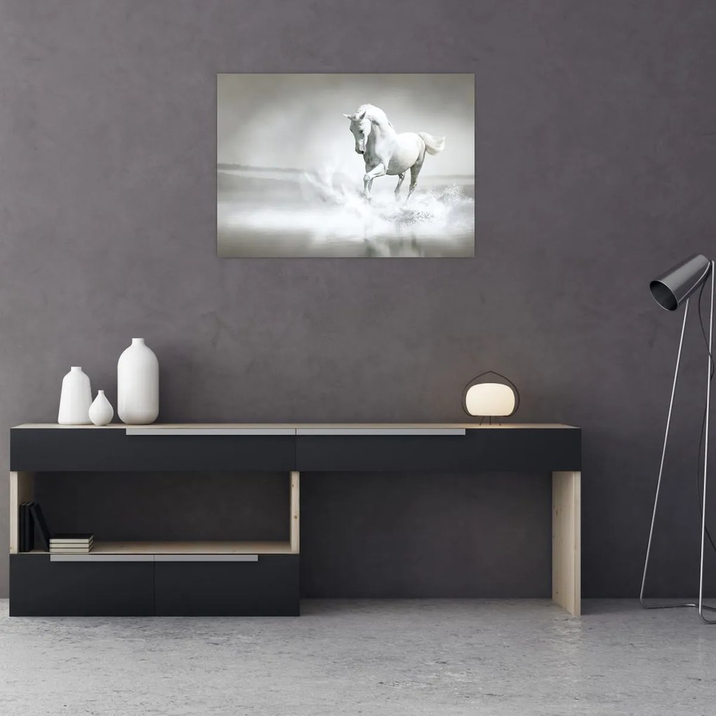 Tablou - Cal alb (70x50 cm)