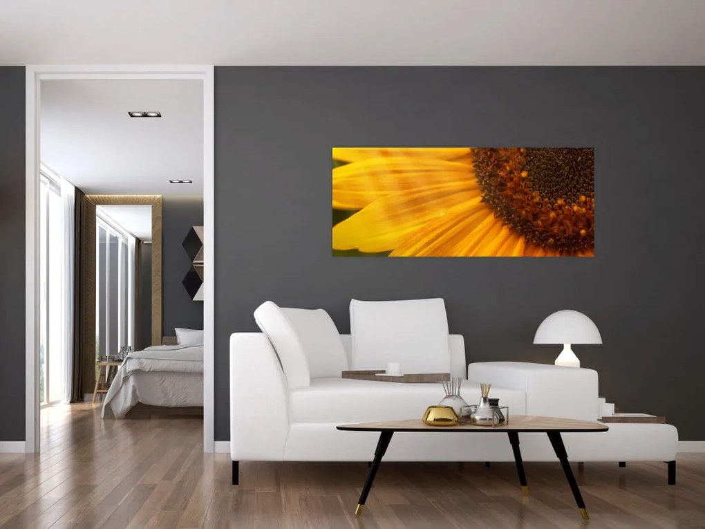 Tablou - Floarea-soarelui (120x50 cm)