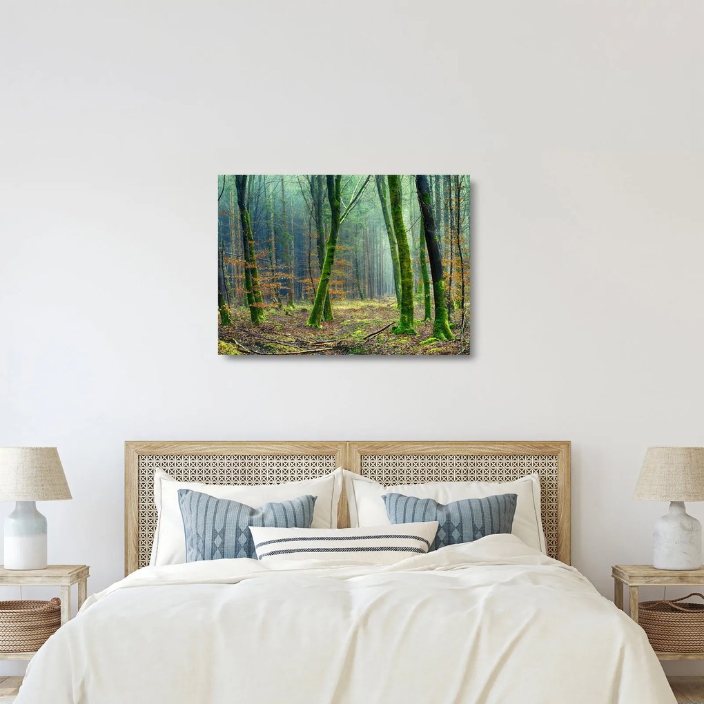 Tablou pe sticlă cu pădure (70x50 cm)