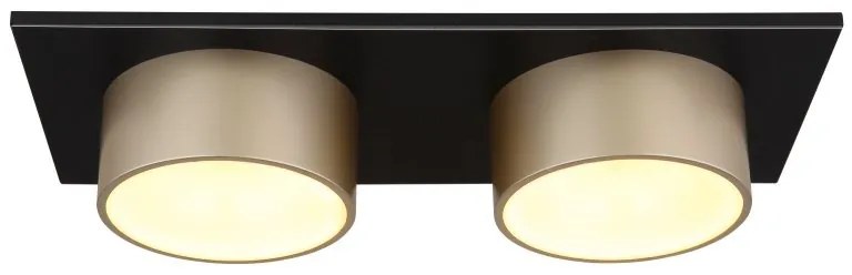 Plafoniera LED negru sampanie RAYMOND 2L