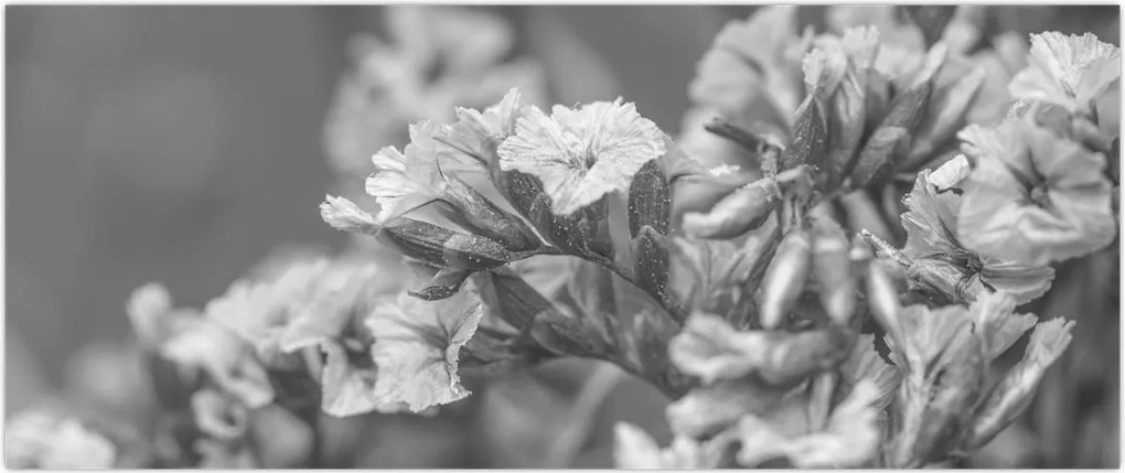 Tablou - Flori uscate (120x50 cm)