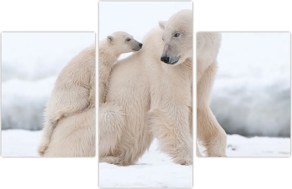 Tablou - Urs polar (90x60 cm)