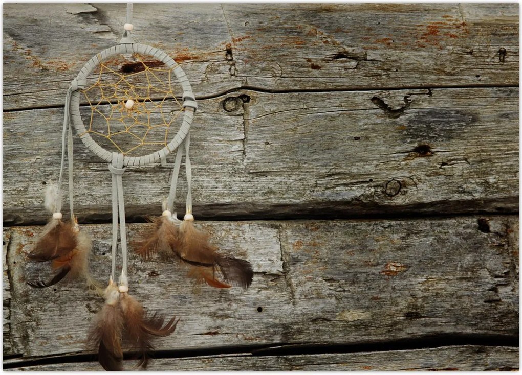 Tablou - Prinzător de vise (70x50 cm)